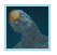 Husk Geth Target Poster