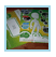 XBOX mailer
